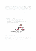 [발생학]줄기세포 연구-4