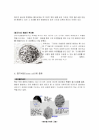 [발생학]줄기세포 연구-5