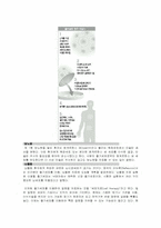 [발생학]줄기세포 연구-7