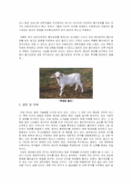 [발생학]줄기세포 연구-9