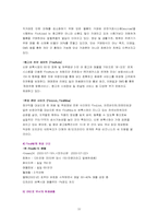 [인터넷마케팅] 인터넷벼룩시장 파인드올(www.FindAll.co.kr) 마케팅전략-10