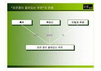 [마케팅] 롯데 `검은콩이 들어있는 우유` 마케팅전략-8