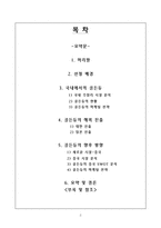 [국제마케팅] ‘골든듀’의 아시아 시장 진출 전략-2