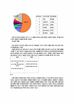 [인터넷기업마케팅] 싸이월드의 마케팅전략-7