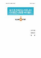[마케팅] 싸이월드 미니홈피를 이용한 마케팅전략-1