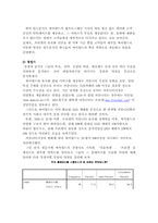 [경영분석] 싸이월드 분석과 향후전략-8