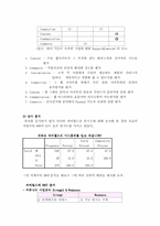[경영분석] 싸이월드 분석과 향후전략-13