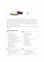 [경영분석] 싸이월드 분석과 향후전략-19