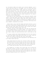[여성사]이슬람사회의 페미니즘에 관해-4