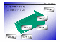 [심리학개론]결혼과 성의 심리학 - 매매춘에 대하여-4