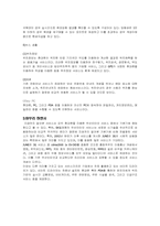 [모바일컨텐츠] SK텔레콤의 무선인터넷서비스-5
