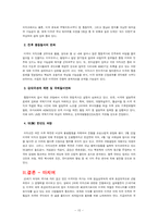 [국제관계론] 미국패권주의와 이라크전쟁-15