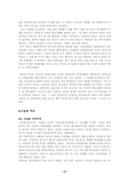 아프가니스탄전쟁 앞으로의 전망과 과제-15