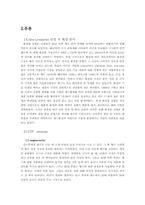 [글러벌경영] `㈜태평양`의 프랑스진출 사례조사 - Lolita Lempicka-5