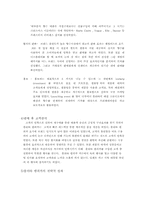 [글러벌경영] `㈜태평양`의 프랑스진출 사례조사 - Lolita Lempicka-9