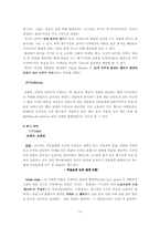 [마케팅전략] 태평양화장품 롤리타렘프카 프랑스진출사례-10