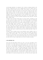 [이라크파병] 이라크파병의 문제점 및 대안-3