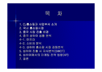 [국제마케팅] CJ홈쇼핑 상해진출 마케팅전략-2