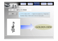 [국제마케팅] 골든듀의 아시아시장진출전략-16