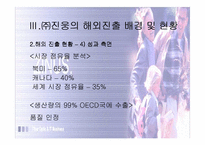 [국제마케팅] ㈜ 진웅의 글로벌 경쟁력 강화 사례-13