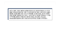 [국제마케팅] SK텔레콤의 중국진출 전략 분석-3