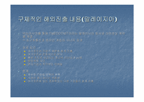 [글로벌마케팅] `넥슨`의 해외진출사례분석 과 마케팅전략-16