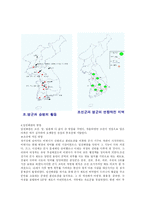 임진왜란과 이순신 장군-5