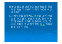 [수질오염]낙동강 폐놀오염사건-4