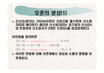 [대기오염]오존-5