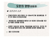 [대기오염]오존-9