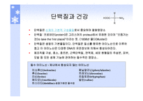 단백질과 건강 레포트-2