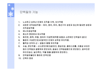단백질과 건강 레포트-3