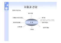 단백질과 건강 레포트-4