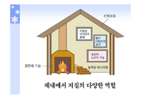 단백질과 건강 레포트-5