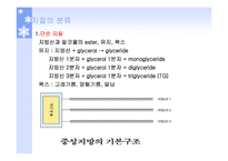 단백질과 건강 레포트-7