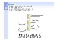 단백질과 건강 레포트-8