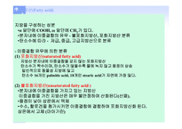 단백질과 건강 레포트-9