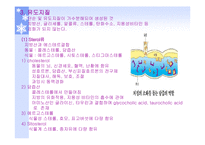 단백질과 건강 레포트-17