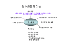 [생활과 건강]탄수화물과 건강-3