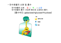 [생활과 건강]탄수화물과 건강-5
