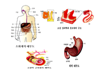 [생활과 건강]탄수화물과 건강-6