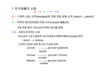 [생활과 건강]탄수화물과 건강-7