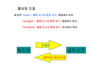 [생활과 건강]탄수화물과 건강-17