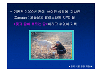 [식품]우유 레포트-2
