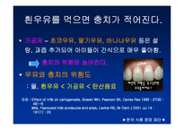 [식품]우유 레포트-20