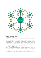 [사업계획서] 레포츠 컨설팅-17