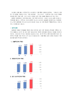 [소비자와 마케팅] 미쟝센 마케팅-4