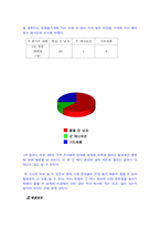 남성용 컬러 화장품 미래파 IMC기획안-4
