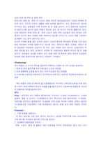 남성용 컬러 화장품 미래파 IMC기획안-9
