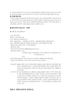 [경영학] 온라인게임 엔씨소프트 분석과 성공요인-5